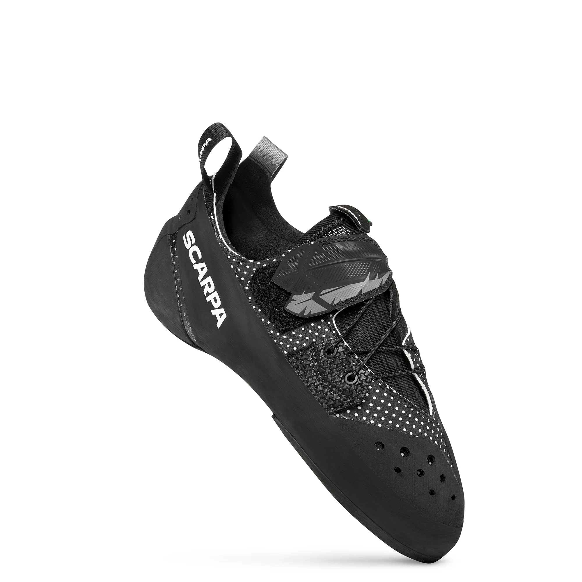 BLACKBIRD (NEW) - Image 2