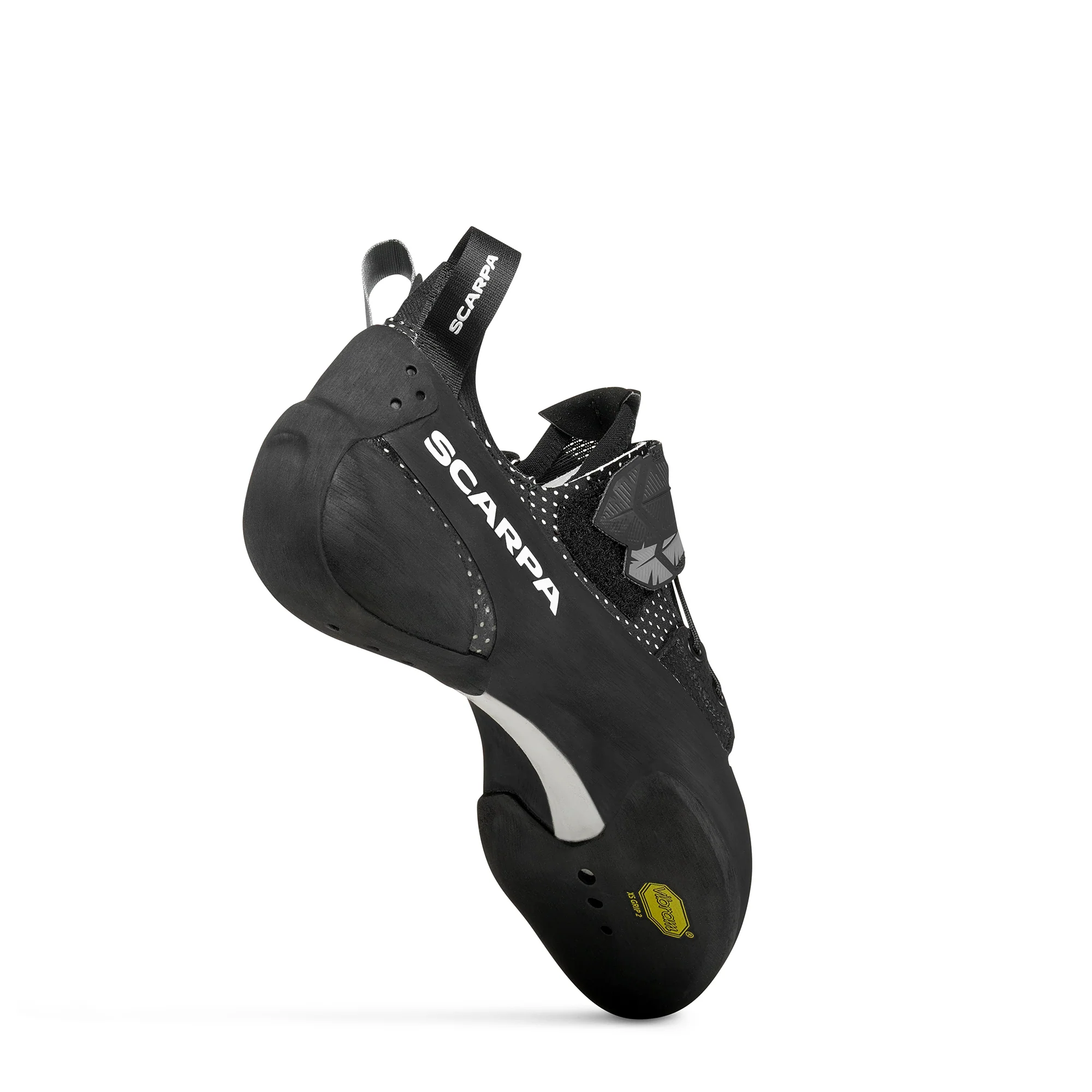 BLACKBIRD (NEW) - Image 3