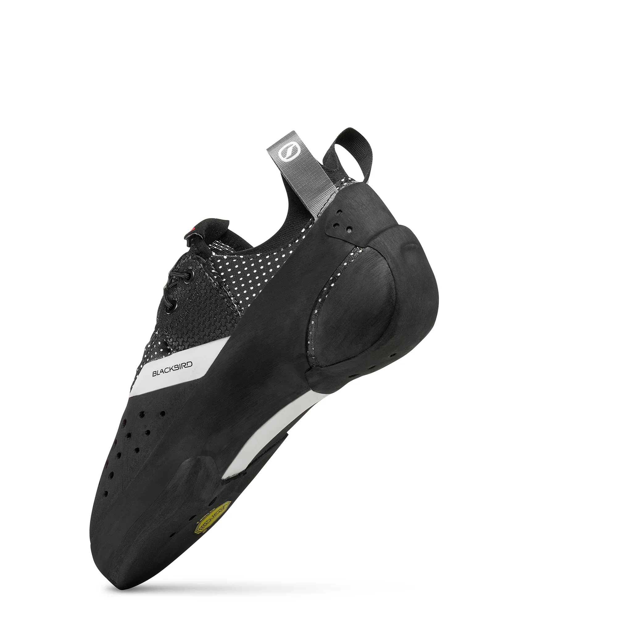 BLACKBIRD (NEW) - Image 4