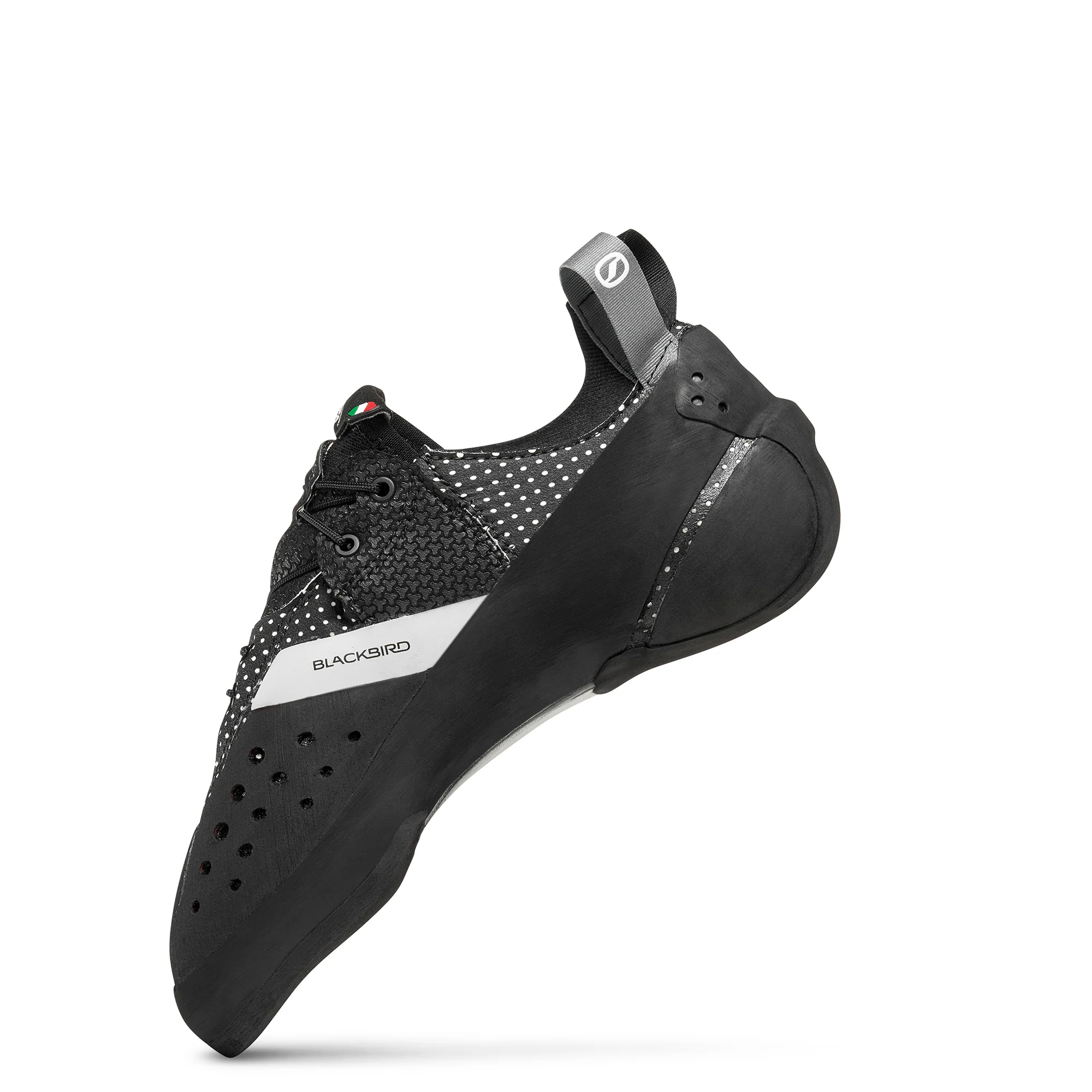 BLACKBIRD (NEW) - Image 5