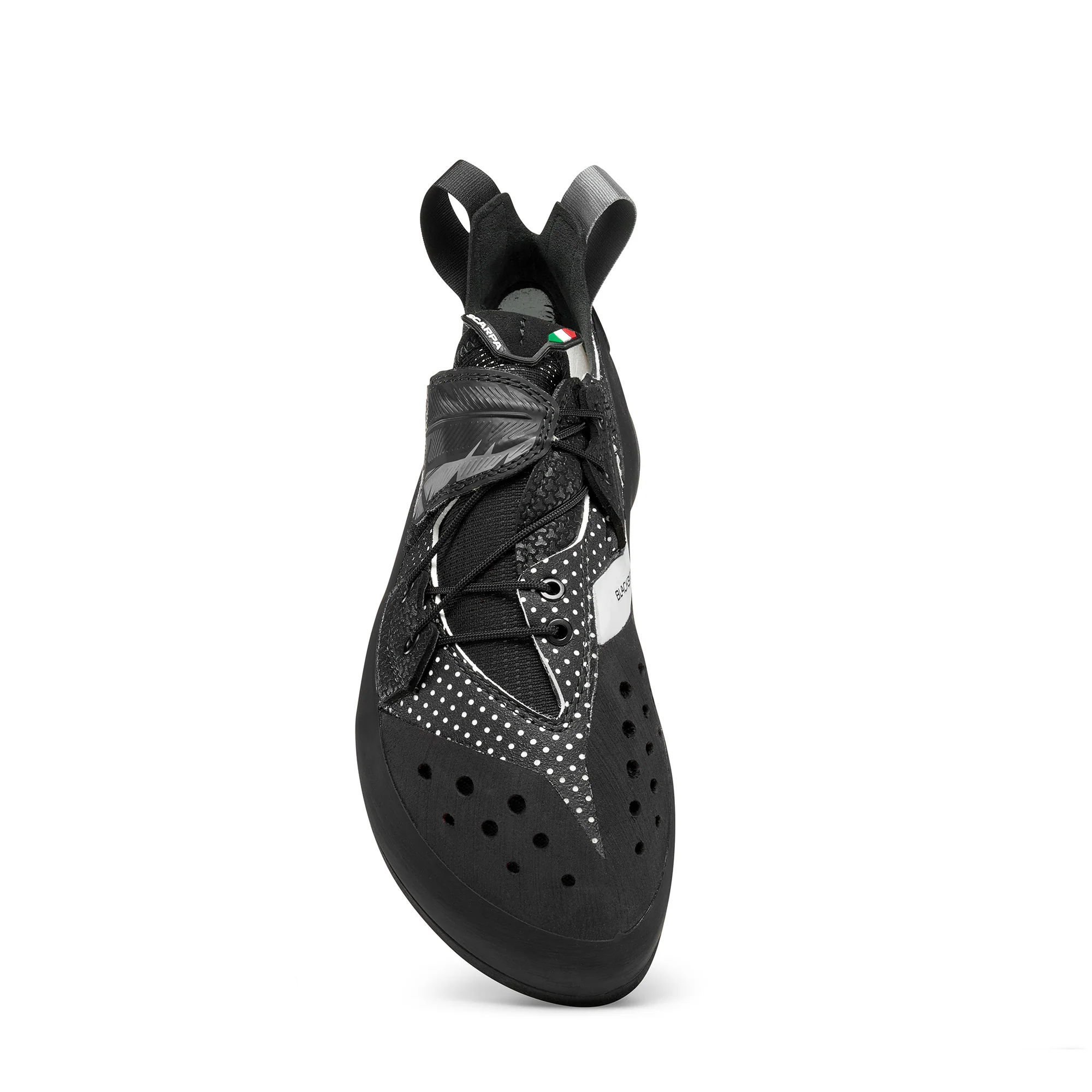 BLACKBIRD (NEW) - Image 7