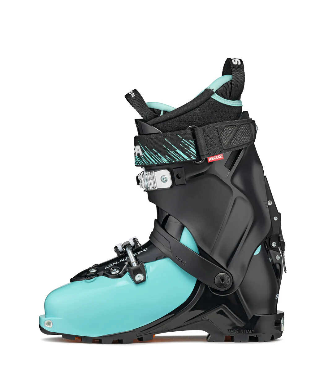 GEA (FALL 2021) - Image 3