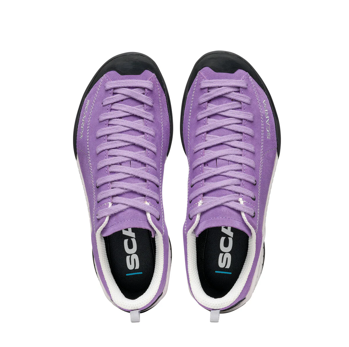 MOJITO WOMEN'S (FALL 2024) - Image 11