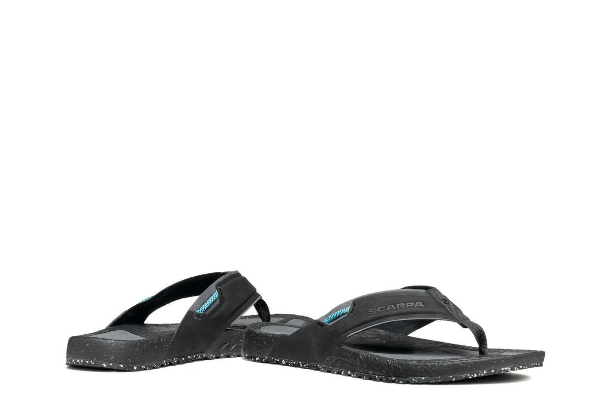 TEGU - Image 7